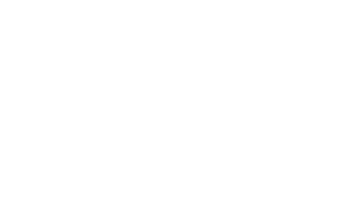 Gullotta White Carousel