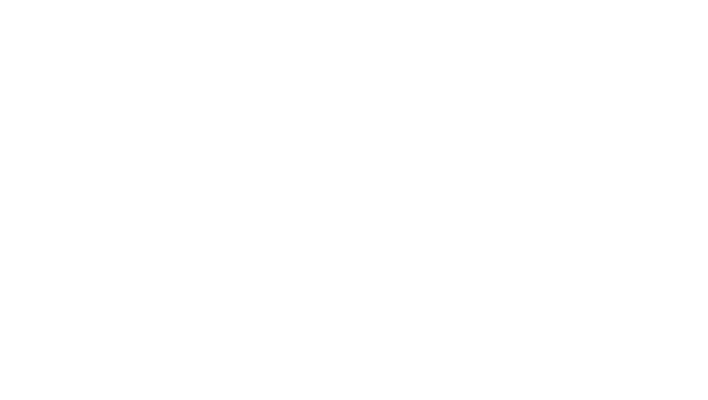 Kia Vadalà White Carousel