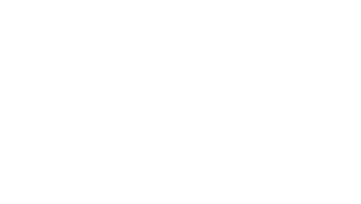 Oro Max White Carousel